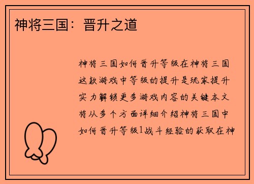 神将三国：晋升之道